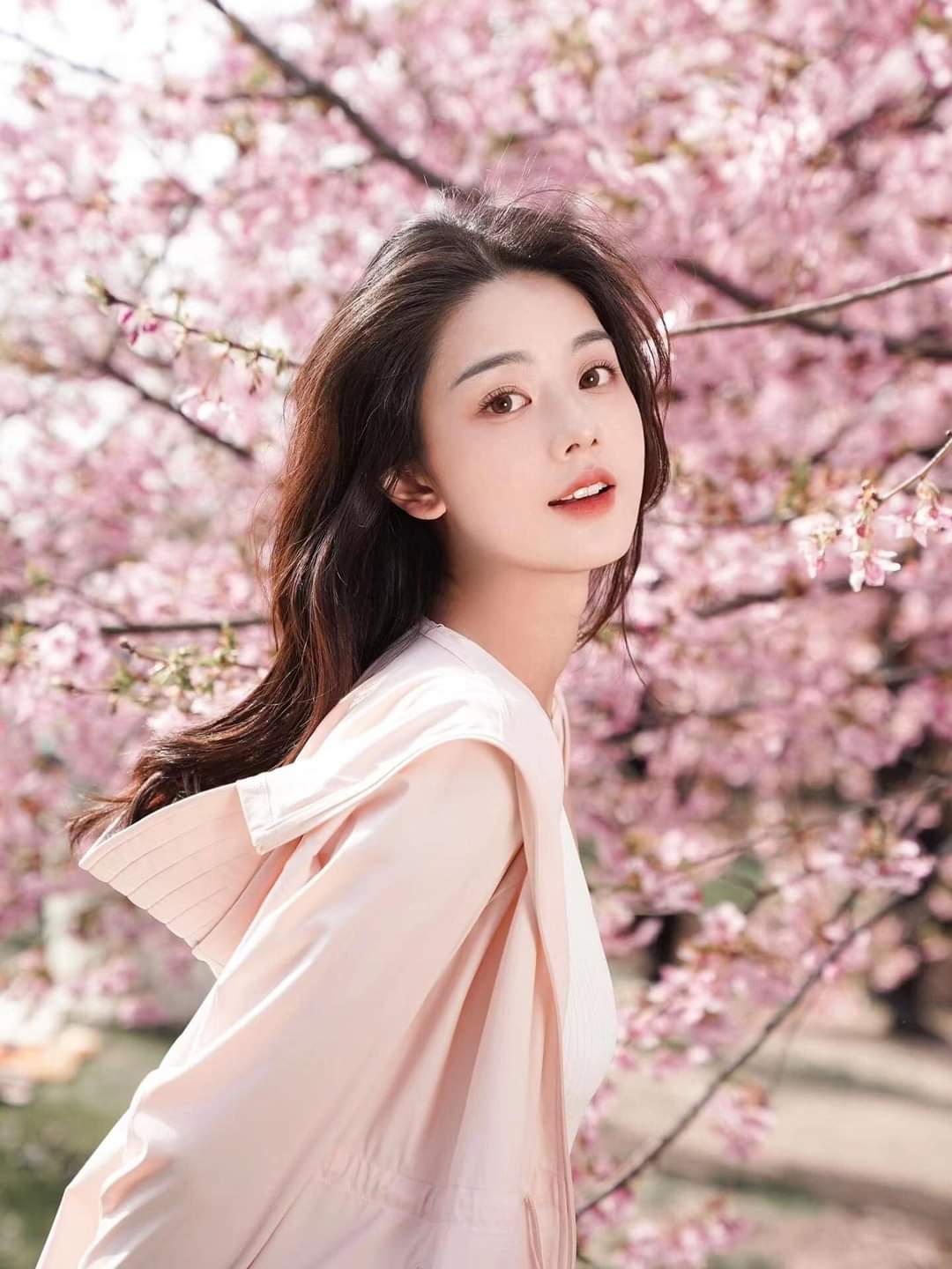 桃花下的美人